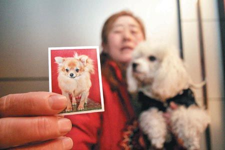 ˭֪��С�������족���� ������һ�ز����˵�����