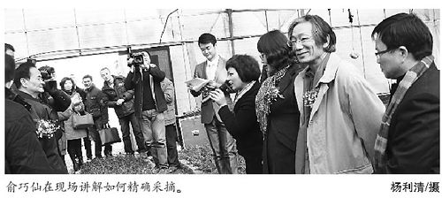 见证森山铁皮石斛第二波诚信活动 做人过得