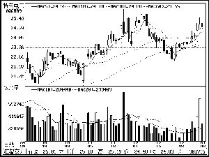  特变电工 ( 600089 )