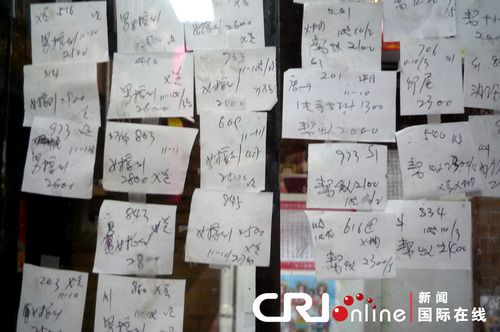 收入证明_美国华人收入