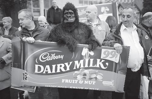 吉百利09年业绩强劲增长 卡夫收购前景未测