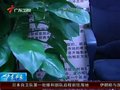 视频：广州一理财公司涉嫌卷走千万巨款