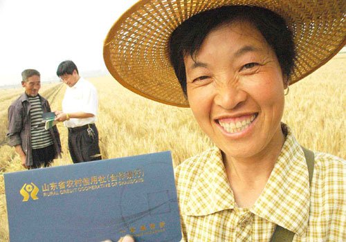 山东农村信用社金融危机中支持三农发展调查