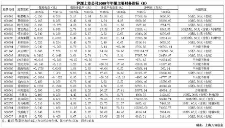 沪深上市公司2009年年报主要财务指标(b)