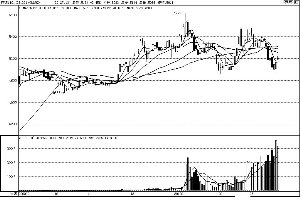 沪铜高开低走 沪钢减仓下行 郑糖高开高走