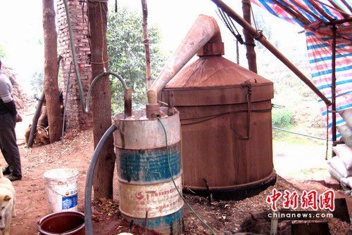 挖摇钱树树蔸炼油 四川宜宾两非法窝点被查