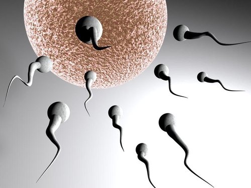 做广告呼吁男性捐献精子