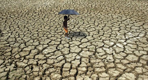 遇52年来最热4月 印官员称高温对粮食收成影响