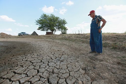美大旱加剧全球粮食危机风险 g20反思生物能源