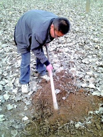 大学生毕业回家养殖金蝉