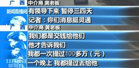 央视揭秘越南生猪走私利益链：1天上万头偷渡中国