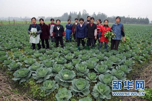 外电:网络帮助中国农民增加收入_财经_腾讯网