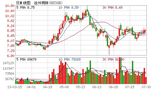 沧州明珠发行公司债获审核通过