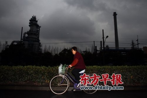 �Ϻ���������338�һ���Υ����ҵ ��ʯ�͵��ϰ�