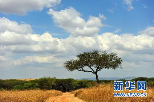 东非万花筒肯尼亚中国游客赴肯旅游指南