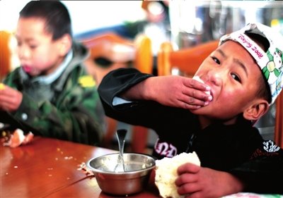 白菜爸爸反哺归真