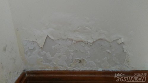 合肥某小区入住一年渗水严重 业主担忧房屋质量存隐患