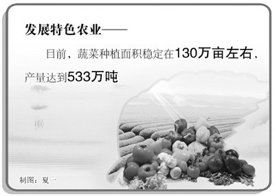 华西村人均收入_河北省人均纯收入标准(2)