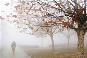 赣榆县人口多少人口_赣榆县太平村图