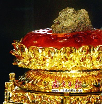 看!世界唯一佛顶骨舍利