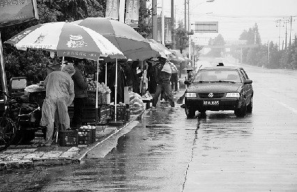 网友质疑嘉善黄桃微博叫卖为赚钱 滞销真相调