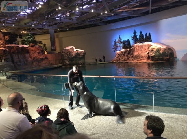 他用信用卡积分兑换了一次环球旅行 参考价值