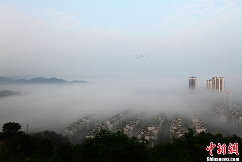 重庆大足浓浓秋雾 城市若隐若现如梦幻仙境