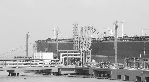 燃料油期货惊现“零成交” 市场反思“大合约”