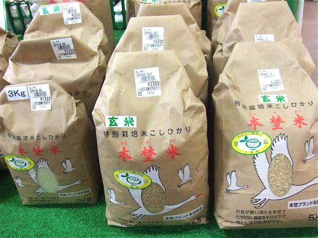 日本大米已成中国最新潮奢侈品
