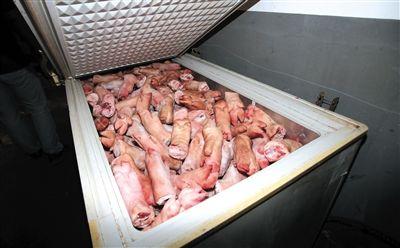 朝阳奶西村加工作坊冰柜内码放的未加工猪蹄，其与左侧被“泡制”过的猪蹄相比，布满血色，颜色发黄“没卖相”。