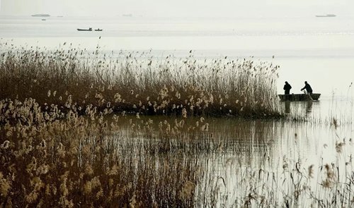 2��20��Ԥ��ȫʡ���½��½�5������