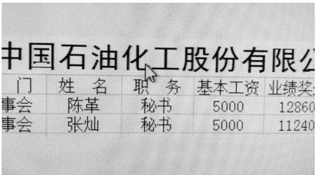 网曝秘书月薪3万 中石化称恶意诋毁(图)