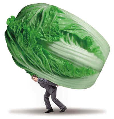 菜价疯涨 蔬菜上涨成因调查