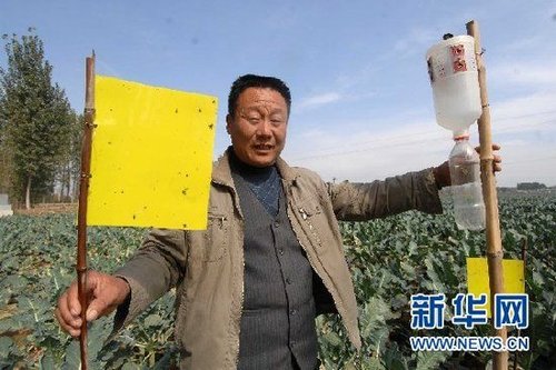 ��س��и߼��л�ʳƷ����� ��Ǯ������֤