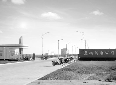 海兴县gdp_海兴县交通局图片