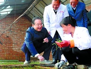 温家宝：土地流转不能强迫命令
