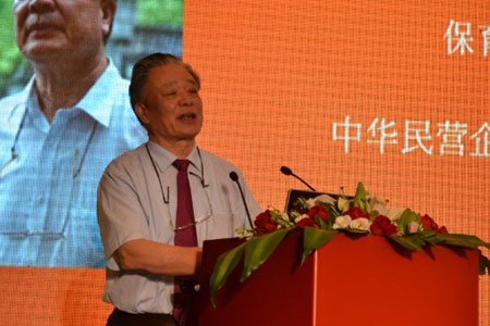 图文:中国民营经济研究会会长保育钧