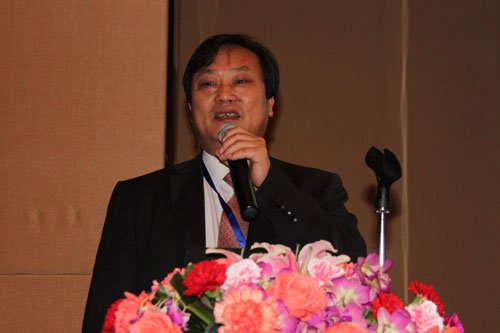 图文:中国建材工业规划研究院院长刘长发