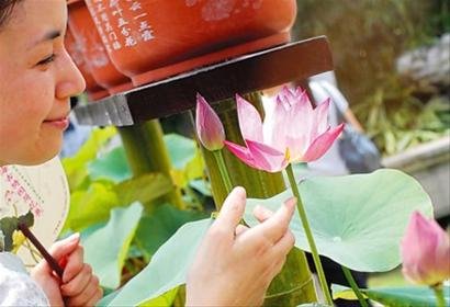 这天气哪像黄梅季,简直是盛夏