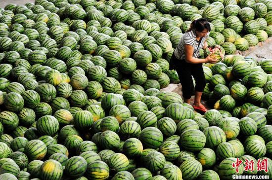 农产品连年遭遇“滞销病” 农民之“急”谁来解?