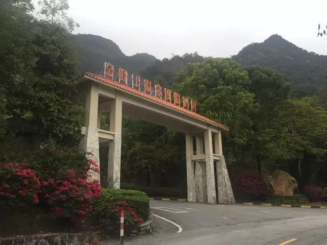 赵薇和她背后的隐秘富豪 一场普通饭局结识马云