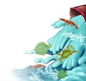 两个月放流近15亿尾鱼虾蟹