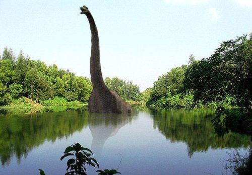 英生物学家称恐龙应生活在水中尾巴助其游泳