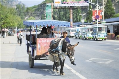 九渡村街头拉载游客的驴车.