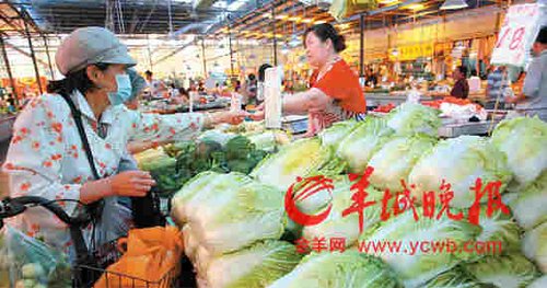 省物价局预测:菜价高位回落或要等到6月