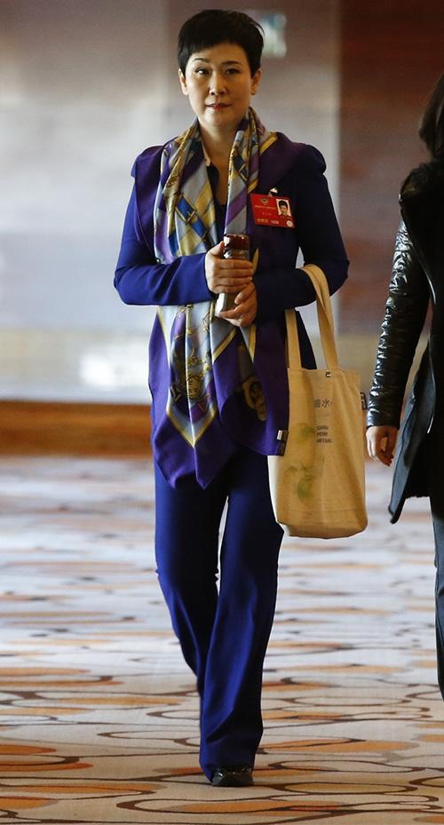 李小琳议政路的变与不变:拎环保袋参会