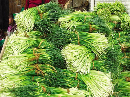 生活观察:新蒜薹上市再演疯狂