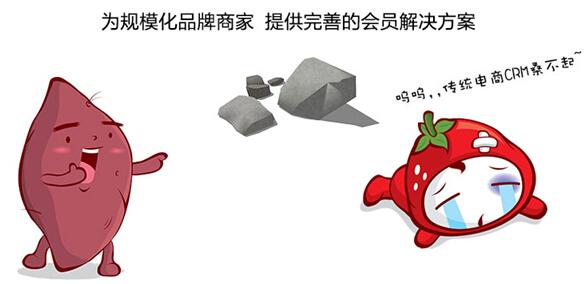 传统电商CRM:那些不能说的痛