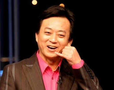 收入证明_央视主播的收入(2)