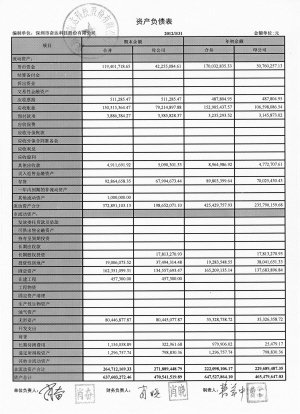 深圳市奋达科技股份有限公司首次公开发行股票